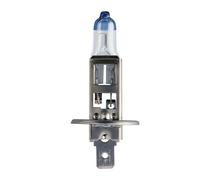 PHILIPS Glühlampe, Nebelscheinwerfer 12258vps2 für LAND ROVER Citroën Peugeot Volvo Ford DAF Opel ABARTH ALFA ROMEO Iveco Vaughall BAIC BMW Audi