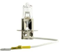 Philips Automotive 77459030 Halogen Leuchtmittel MasterDuty H3 70W 24V