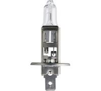 PHILIPS Glühlampe 12V