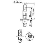 PHILIPS Glühlampe, Nebelscheinwerfer 12258llecoc1 für LAND ROVER Citroën Peugeot Volvo Ford DAF Opel ABARTH ALFA ROMEO Iveco Vaughall BAIC BMW Audi F