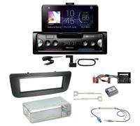 Pioneer SPH-20DAB Digitalradio Bluetooth Einbauset für Skoda Fabia 2 Roomster