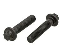 ELRING 388.830 - Pleuelschraube