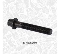 Pleuelschraube C6204313310 FP6204313310 FP-6204313310 FP-6204-31-3310 6204313310