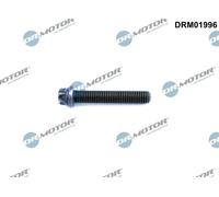 Pleuelschraube Dr.Motor Automotive DRM01996 für BMW 3er BMW 1er BMW 5er BMW 4er BMW X1 BMW 7er BMW X5 BMW 6er