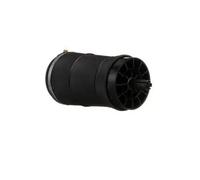 Arnott A-3025 Luftfeder, Fahrwerk für LAND ROVER