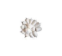 BGS Polierköpfe-Sortiment – Antrieb 6,3 mm (1/4 Zoll) – 14-tlg.