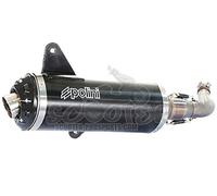 POLINI 190.0041 Aluminium Auspuff/Vespa GTS 300, Schwarz