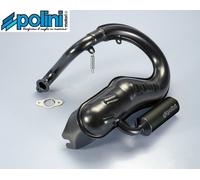 Polini 200.2025/S Auspuffanlage Für Piaggio VESPA 125 Primavera Endtopf Allu