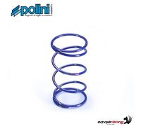 Polini-Kontrastfedern f?r Italjet Millenium 150 Vergaser