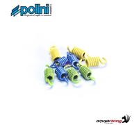 Polini Kupplungsfedersatz fr MBK Skyliner 125 Vergaser