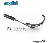 Polini Evolution Auspuff für Aprilia RS50, Rieju RS2 und TZR