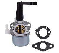POMPOMPUR Für Briggs Für Stratton 697422 110402 110412 215369 696065 Vergaser Für Motorhacke Mit Montagedichtungssatz Luftfilter(Set 1)