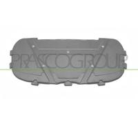 PRASCO BM1201945 Motorraumdämmung Dämmmatte für Motorhaube Motorhaube