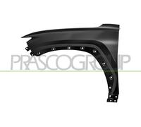 PRASCO Kotflügel vorne links für HYUNDAI HN8103034