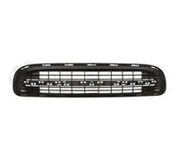 Lüftungsgitter, Stoßfänger BLIC 6502-07-4001910P