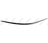 Prasco - ME0411228 - Mercedes - E Class (W211) - Mod. 05/07-04/09 - Chromleiste Links Stosstange Vorne