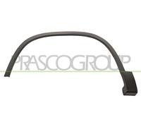 Prasco Radlaufleiste vorne Links-