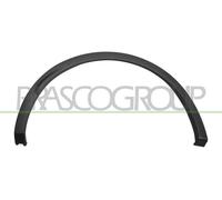 Radlaufleiste hinten rechts