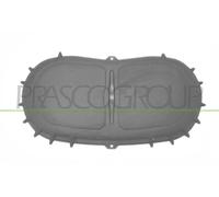 PRASCO VG8071945 Motorraumdämmung Dämmmatte für Motorhaube Motorhaube