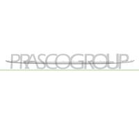 PRASCO VG8121255 Zierleiste Stoßstange hinten Mitte verchomt Volkswagen - Tiguan