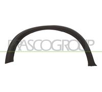 Prasco Kotflügel hinten rechts BMW X5 E70 ab 2007 BM8241583 Schwarz genarbt