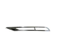 PSRRGZTM Nebelscheinwerfergitter Kompatibel Mit VW Für Phaeton 2011-2015 Auto Front Stoßstange Nebel Licht Lampe Grill Auto Teile 3D0853665J 3D0853666J 3D0854661H 3D0854662H(Silver Left)