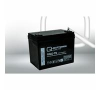 Akku Satz 2 St. 12V 77Ah Blei AGM Batterien für Vermeiren Carpo 4 (15 km/h)