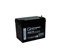 Akku Satz 2 St. 12V 77Ah Blei AGM Batterien für Vermeiren Carpo 4 (15 km/h)