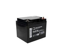 Ersatz-Akkus Wechselakkus f. Elektro-Schlepper Movertec Mtrac 1000, 2 x 12V 50Ah