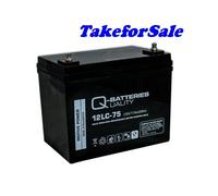 Q-Batteries 12LCP-75 12V 77Ah Blei Akku Zyklentyp AGM Deep Cycle VRLA Neu TFS274
