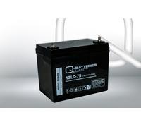 Akku Satz 2 St. 12V 77Ah Blei AGM Batterien für Vermeiren Carpo 4 (15 km/h)