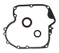 QAZAKY Kurbelgehäusedichtung Öldichtung Kombiring-Set Ersatz für 793880 Nockenwelle 697110 795387 Rasenmäher-Vergaser