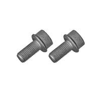 Schraube, Bremssattel QUICK BRAKE 2 Stück 11631K