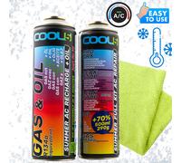 R12/R134a Kältemittel-Kit für Klimaanlagen 2-in-1 + 5-in-1 Cool5 Ersatz R12/R134
