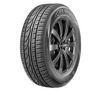 Radar RPX 800 205/55R17 95 Y XL RUNFLAT