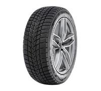 Radar Dimax Alpine 195/65 R15 95H XL