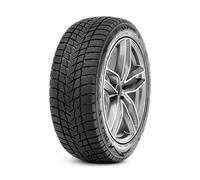 1x 225/50 R 17 98V Winter-Reifen Radar Dimax Alpine 3PMSF XL | 60503