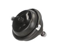 Radbremszylinder DT Spare Parts 4.64517