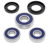 Radlager hinten 25-1359, AllBalls Racing