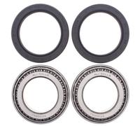 Radlager Satz hinten für Bombardier DS 650 BajaX BJ. 2000-2006