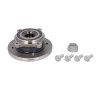 SKF Radlagersatz