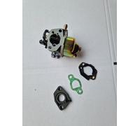 Rasenmäher Original Vergaser MTD OHV 751-10309 Motoren Motor Part