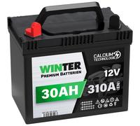 Rasentraktor Batterie 12V 30Ah 310A Plus Pol Links Aufsitzmäher Starterbatterie