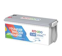 Redodo LiFePO4 Batterie 12V 200Ah Plus mit 200A BMS, über 4000-15000+ Zyklen, 2 fache Lebensdauer Eingebautes, Perfekter Ersatz für Blei-Säure, AGM, FLA, Gel Akku