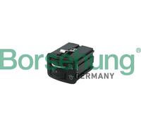 Regler, Instrumentenbeleuchtung B18747 Borsehung für VW TIGUAN