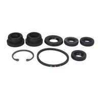 Reparatursatz, Hauptbremszylinder AUTOFREN SEINSA D1334