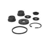 AUTOFREN SEINSA Reparatursatz Hauptbremszylinder D1434 für RENAULT 22mm Grauguss