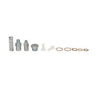 Reparatursatz, Kraftstoffpumpe AKUSAN BPD-RV102