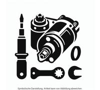 Valeo 300821 Kohlebürste, Generator