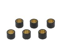 Reparatursatz, Variator VICMA VIC-3918